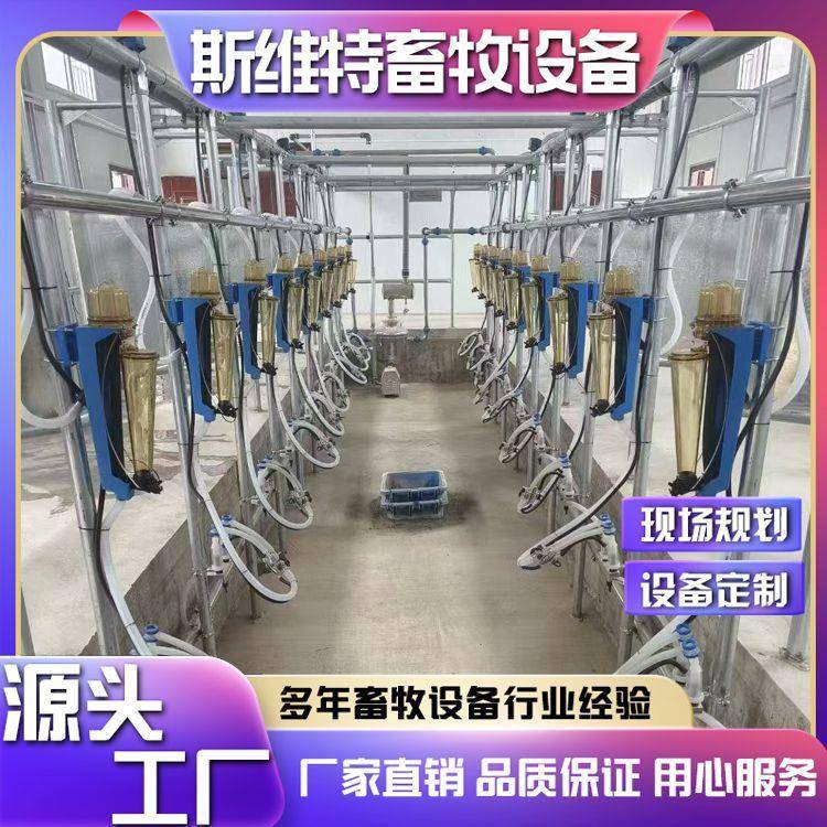 斯维特挤奶厅牛用全自动挤奶机奶牛场挤奶设备安装方便源头厂家