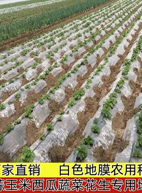 花生专用地膜农用种植加厚保温蔬菜大蒜土豆西瓜白色透明塑料薄膜