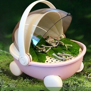 学生养蚕套装盒蚕宝宝太空养育舱展示新鲜桑叶蚕卵幼虫专用饲养盒