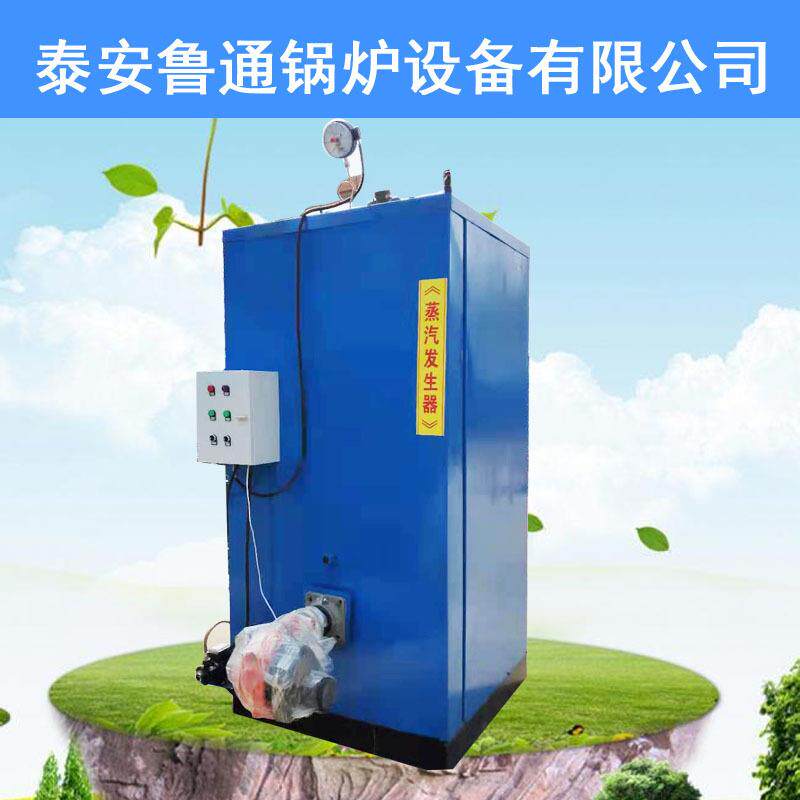 燃油燃气蒸汽发生器商用电加热全自动汗蒸桑拿房设备蒸汽锅炉