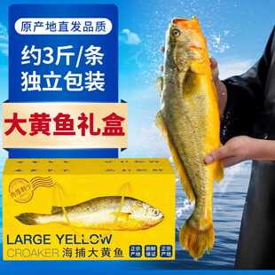 野生大黄鱼海鲜礼盒装大礼包深海新鲜冷冻特大野生黄花鱼春节年货