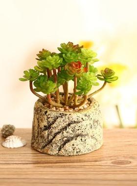 假多肉迷你北欧仿真花绿植物装饰品芦荟小盆栽仙人掌盆景摆件创意