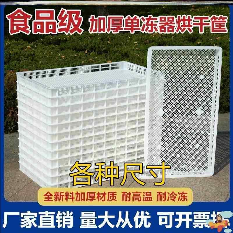 沥水网格板晒东西的干货网长方形食物晾晒筐塑料单冻器冷冻烘干盘,餐饮具,果盆/果盘/果篮,淘宝优惠券,粉丝福利购,淘宝优惠卷