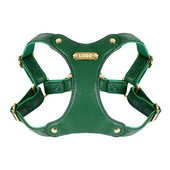 狗狗牵引绳胸皮质套装 中小型犬loudik狗宠物背带项圈