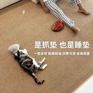 仿剑麻地毯客厅地毯卧室飘窗毯茶几毯拍照地毯家用门口地垫防猫抓