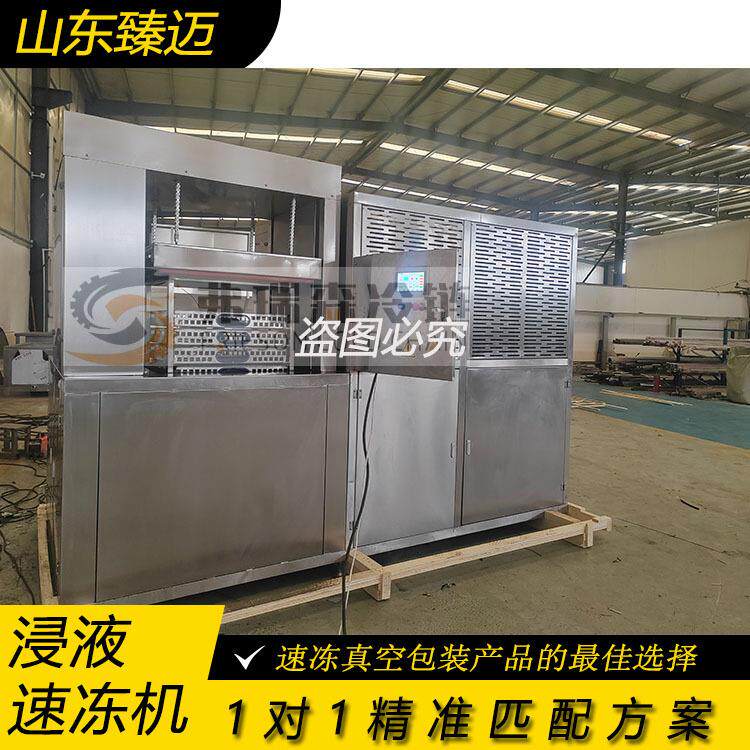 浸液式速冻机真空包装产品速冻液体冻眠机火锅笋速冻锁鲜设备