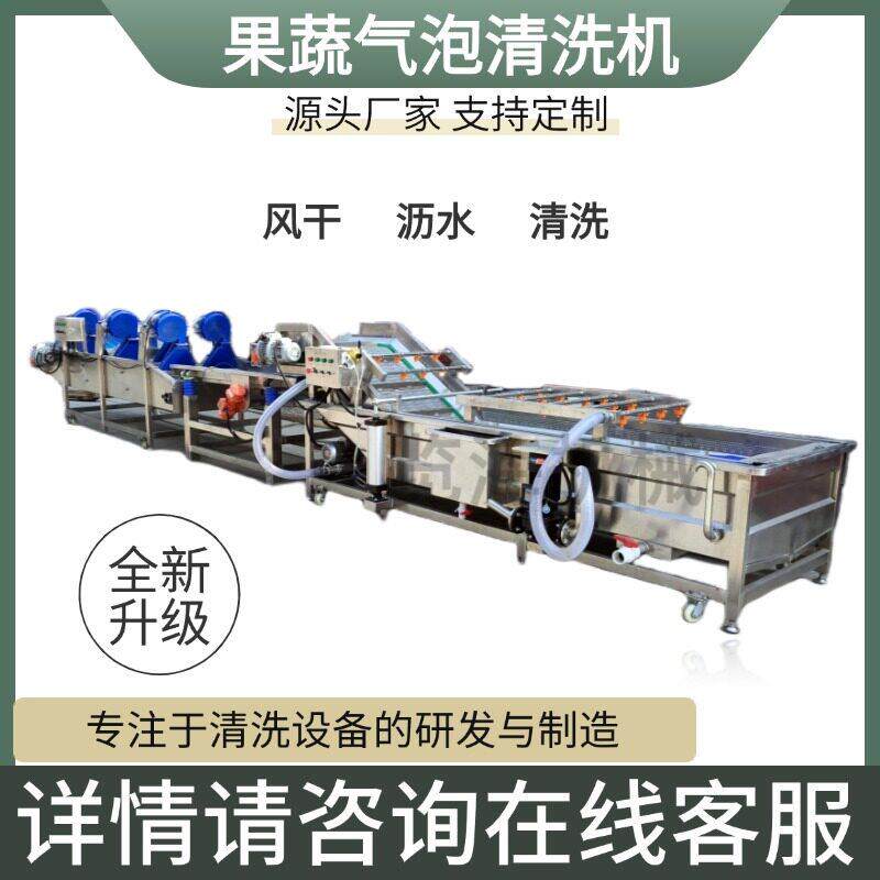 蒜苗橙子清洗机枣青梅韭菜芹菜清洗加工流水线果蔬气泡清洗机大型