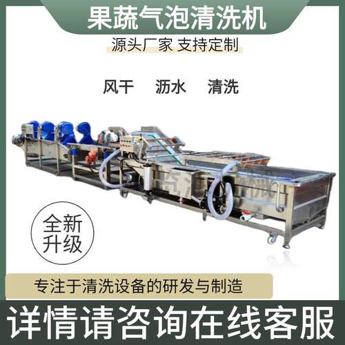蒜苗橙子清洗机枣青梅韭菜芹菜清洗加工流水线果蔬气泡清洗机大型