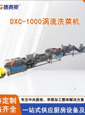 净菜加工设备涡流洗菜机厨房设备洗菜线蔬菜清洗机供应
