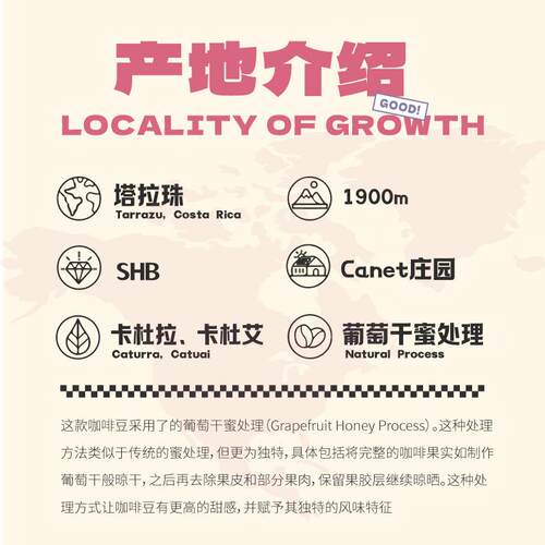 咖臣G大调小步舞曲 哥斯达黎巴哈发酵日晒葡萄白兰地手冲咖啡豆15