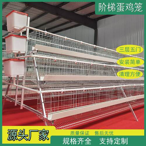 A型冷镀锌热镀锌阶梯蛋鸡笼禽类三层五门绿槽白槽家用养殖厂设备