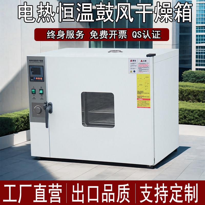 电热恒温鼓风干燥箱实验室老化试验箱烤箱高温烘箱小型工业烘干机