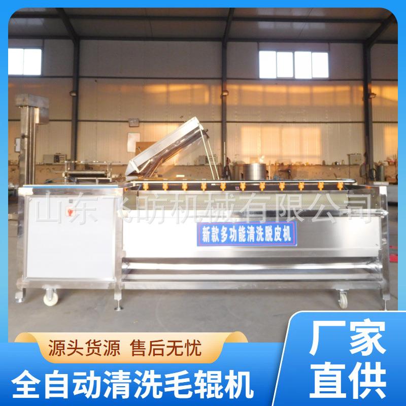 全自动商用果蔬毛刷清洗机柠檬洗果机土豆去皮机椰子清洗机工厂家