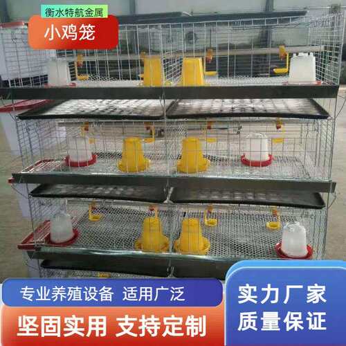 立式四层小鸡笼育雏鸡笼层叠式养鸡设备加粗加密养殖笼养殖场家用