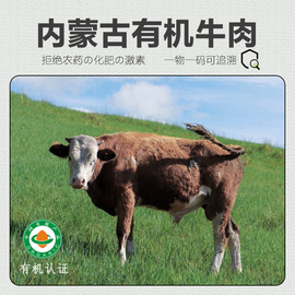 有机牛肉 新鲜内蒙古天然有机牧场牛肉卷牛排牛腩牛腱子肉牧北鲜