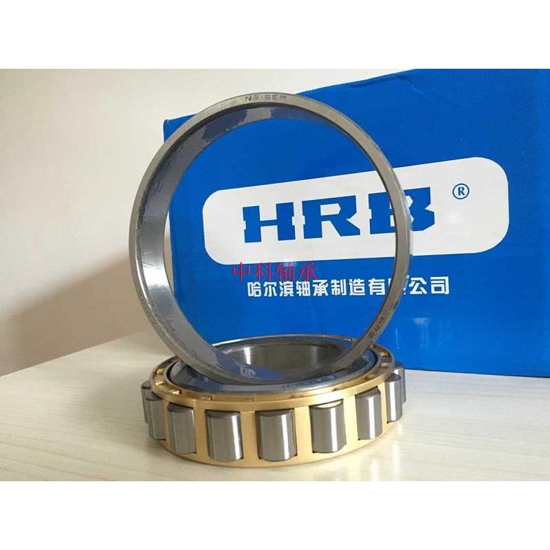 RN309 M摆线针减 502309H哈尔滨轴承偏心套圆柱滚子