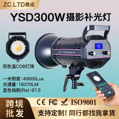 300W大功率专业直播补光灯摄影灯拍照柔光灯太阳灯直播间主播专用