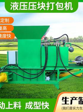 新型液压打包机两缸打压捆厂家现货TJYDL-2型青贮牧草液压压块机