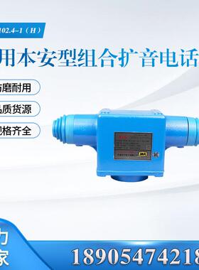 KTC102.4-1(H)矿用本质安全型组合急停闭锁开关天津华宁