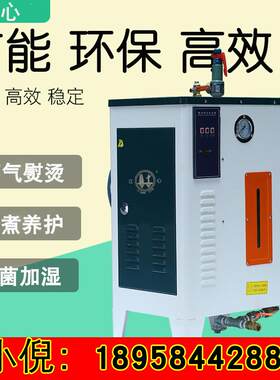 江心蒸汽发生器 全自动电加热电锅炉商用蒸包柜工业服装熨烫设备