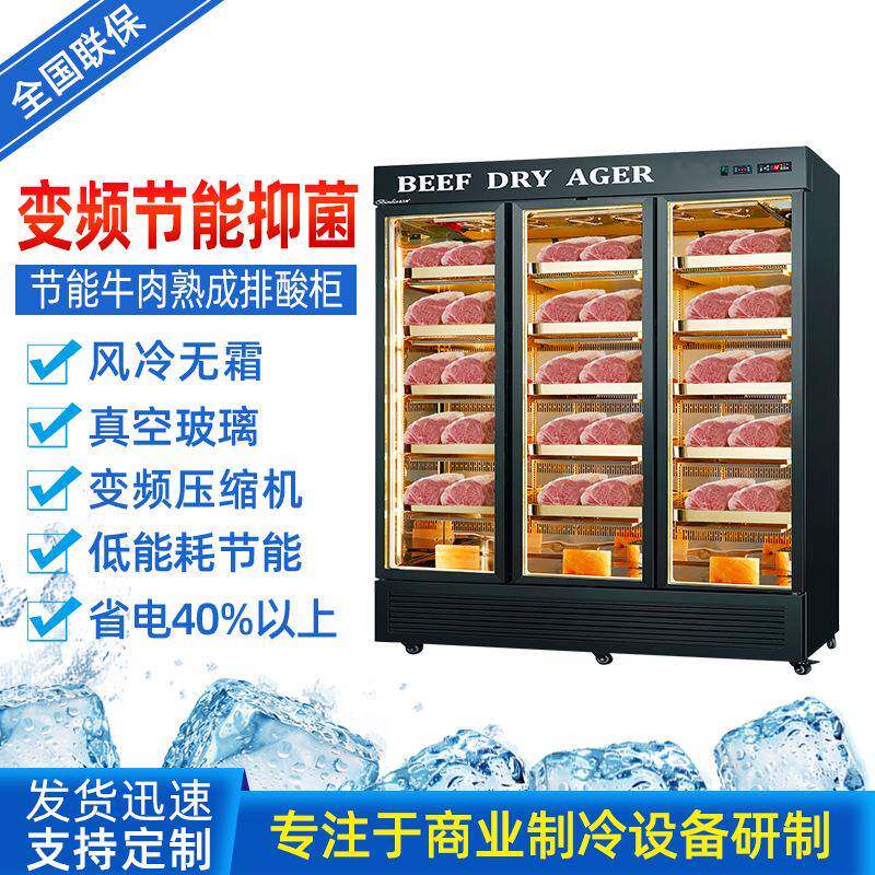 节能牛肉干式熟成排酸柜商用西餐厅店湿式低能耗展示立式冷柜