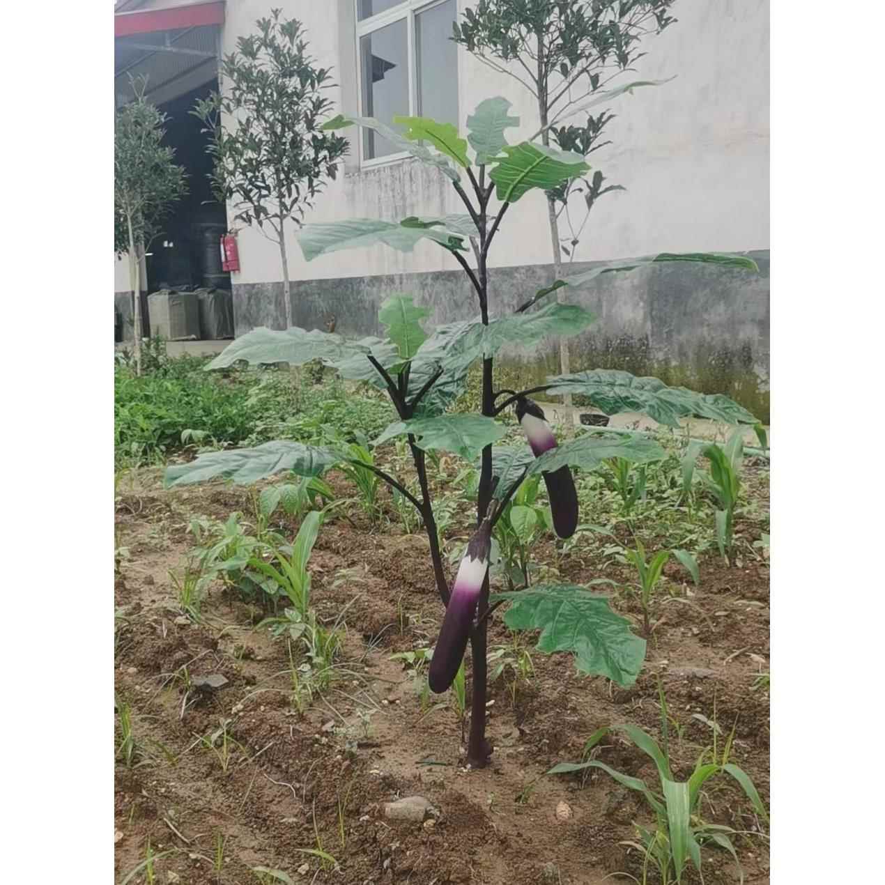 仿真蔬菜茄子水果黄瓜苦瓜橱柜装饰摆设拍摄教学写真