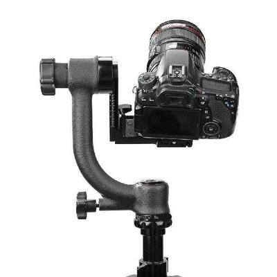 Gimbal Tripod Head for Telephoto Lens Bird Watching