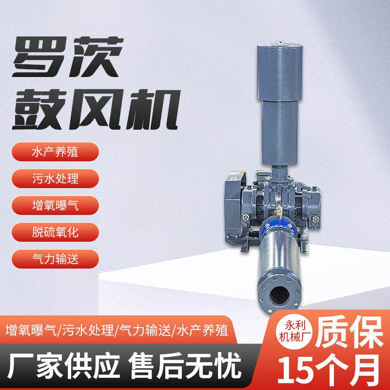 铸铁罗茨鼓风机曝气风机水处理三页大功率氧机大风量