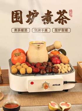 电围炉煮茶取暖炉烧烤炉电烤架家用户外便携炉可拆卸不锈钢发热管