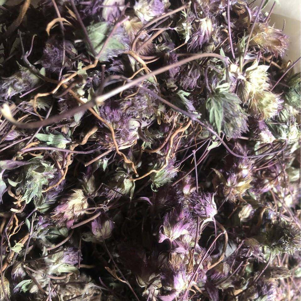 神香草 牛膝草 柳薄荷 神香菊 海索草 代嚰粉,传统滋补营养品,其他药食同源食品,淘宝优惠券,粉丝福利购,淘宝优惠卷