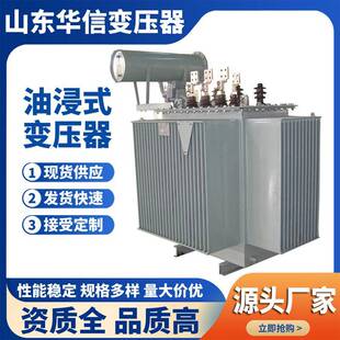 S20-250KVA/10KV油浸式变压器 铜材质