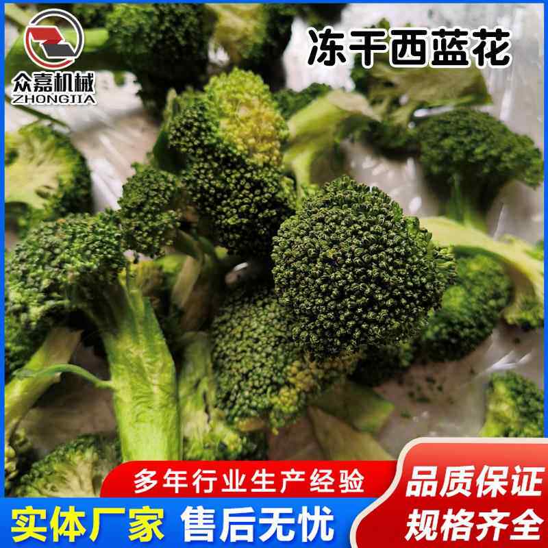 蔬粉冻干机 西蓝花甘孢子蓝冻真干机 南848菜瓜空干燥设备