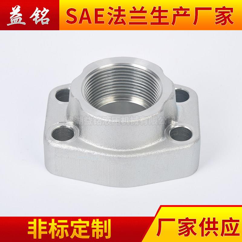SAE内螺纹法兰AFE/AFEA旋入式螺纹油泵液压阀 碳钢镀锌管螺纹接头