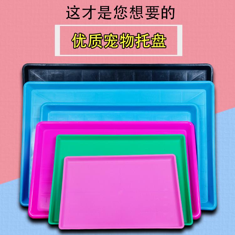 狗笼托盘狗尿盘宠物大号接粪盘狗厕所加厚兔子猫笼宠物托盘狗托盘