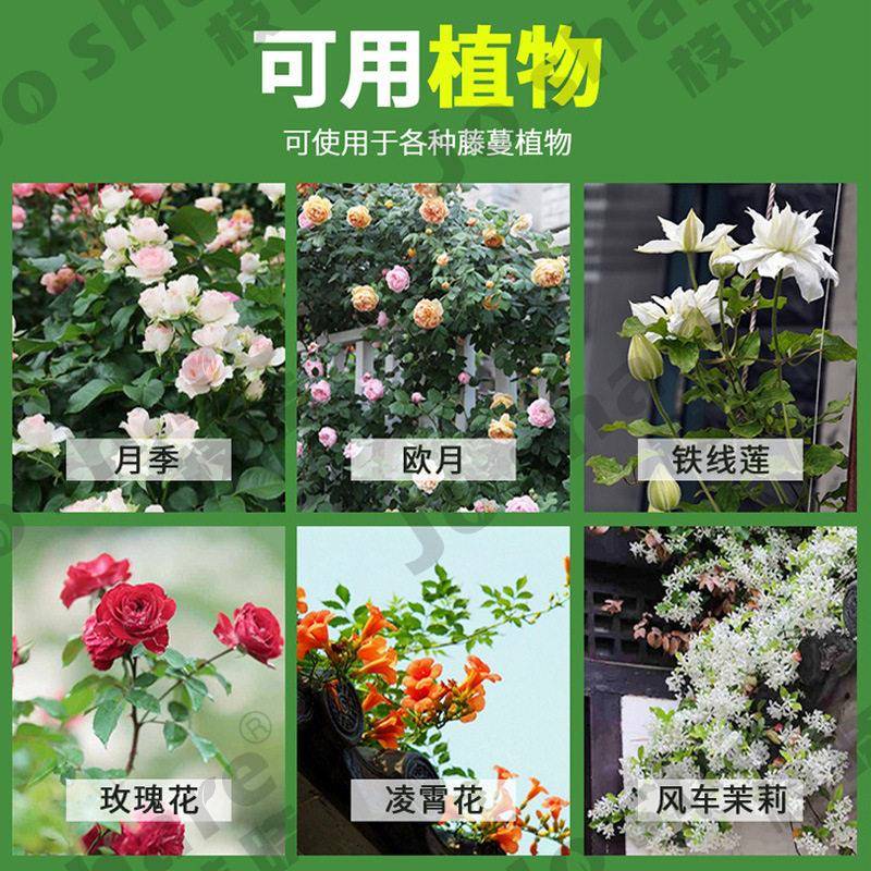 枝晓 半幅拱门花架 爬藤架月季爬藤架植物爬藤架拱形花架户外爬墙