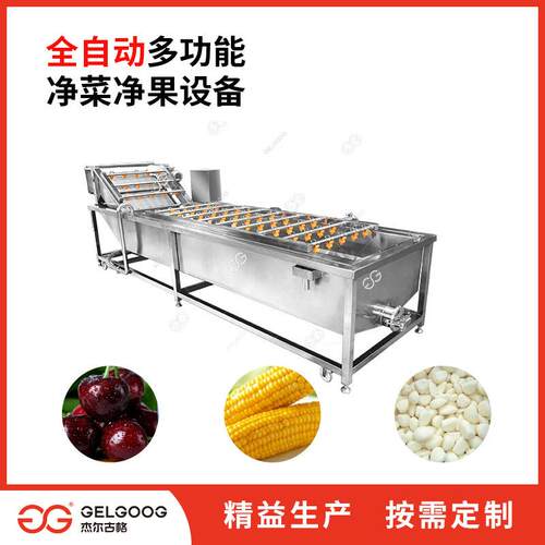 机大蒜去皮蒜清洗线设备米 气泡清LDW洗机 蒜米全自动清洗械 清洗
