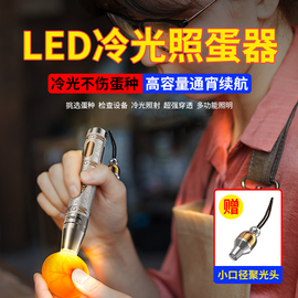 照蛋手电筒LED冷光孵化专用灯强光充电小鸡蛋乌龟蛋种检查验蛋器