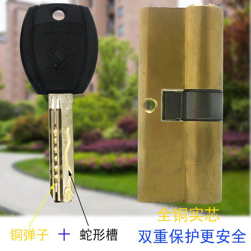 新款式外门防盗门锁芯全铜掸子家用大门锁心带槽蛇型轨道钥匙同芯