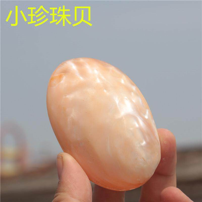 天然海螺贝壳珍珠贝把件送朋友小礼物家居装饰特色工艺品满包邮