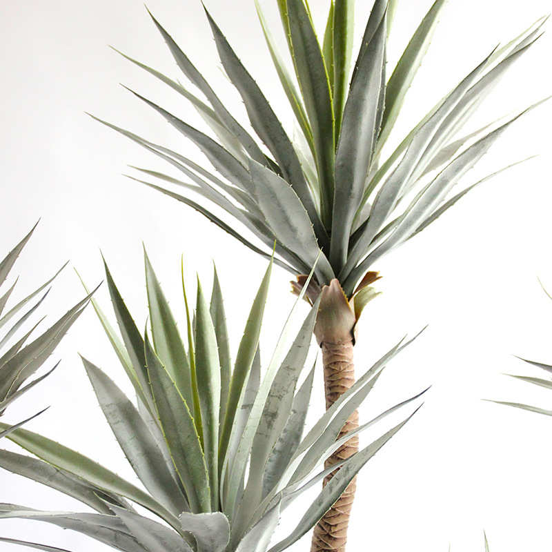 盆栽摆件植灰绿热带网剑兰沙漠橱窗植物装饰仿真咖盆景陈列造景假