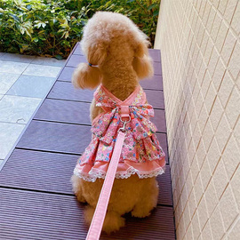 狗狗牵引绳可爱花边裙子背心式牵引衣泰迪比熊外出遛狗绳狗链