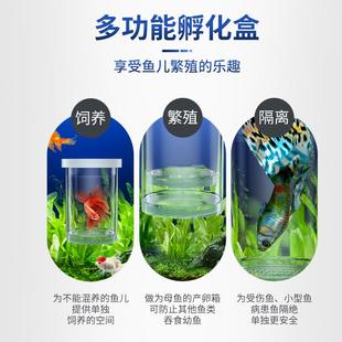 孔雀鱼繁殖隔离盒产卵桶母鱼孵化网产房小鱼幼鱼隔离透明产子产箱