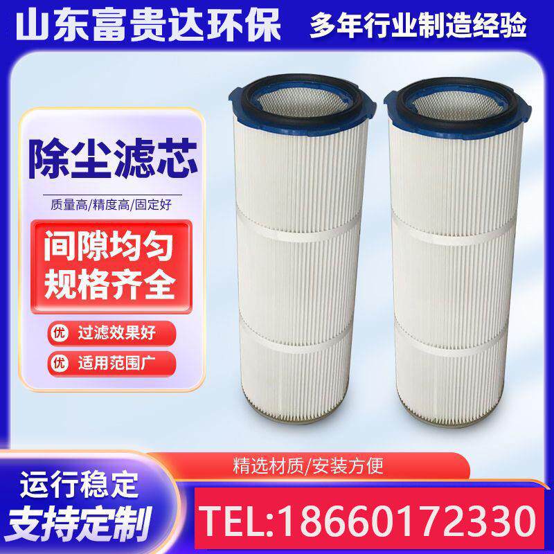 工业除尘滤芯脉冲吸尘机扫车空气滤清器滤筒喷粉喷涂车间除尘滤筒