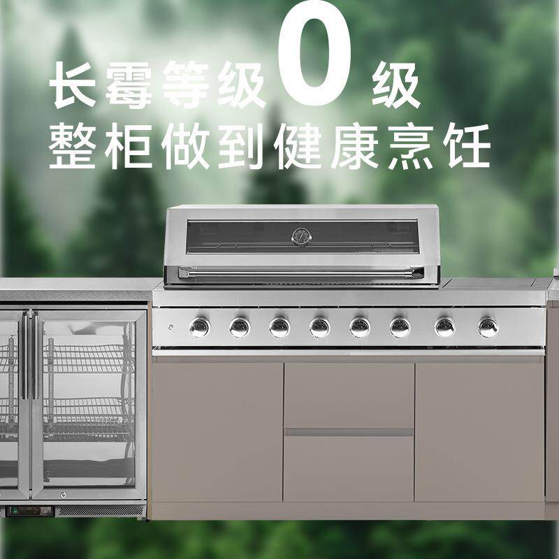 亚马逊不锈钢橱柜户外烧烤炉一体操作台庭院别墅开放型整体厨房