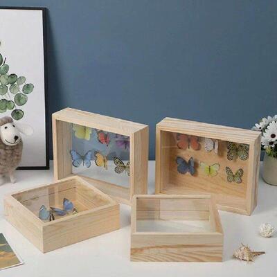 Butterflies Specimen Display Case Wooden Collection Box