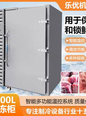 潮州狮子头快速冷冻箱 柜式超低温大型速冻机土豆红薯速冻柜