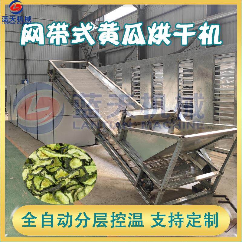 黄瓜片烘干机 履带式黄瓜切片烘干生产线 全自动青瓜黄瓜条烘干机