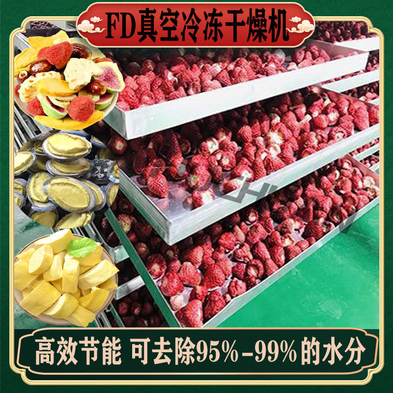 小型真空冷冻干燥机 宠物食品冻干机 秋葵果蔬低温脱水冻干机