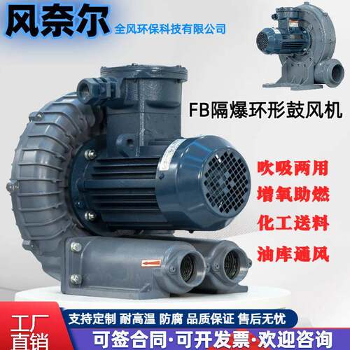 工业防爆环形鼓风机粉尘气体输送矿井化工隔爆漩涡气泵CT4BT4