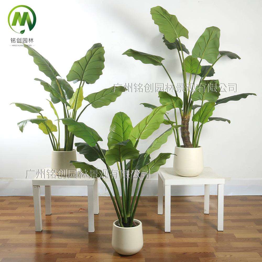 仿真绿植假树室内家居装饰植物商业美陈植物摆件大型绿帝王盆栽
